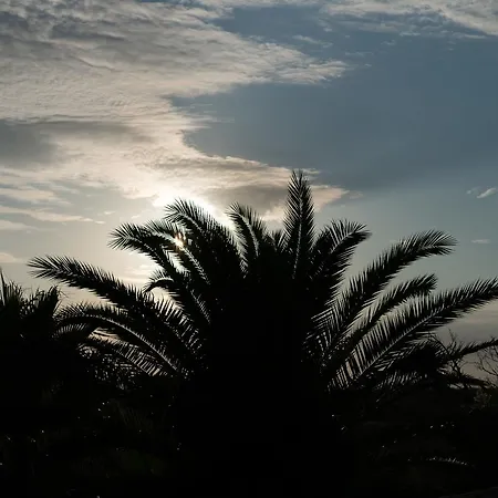 Finca El Pavo *